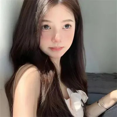 完美伴侣2025